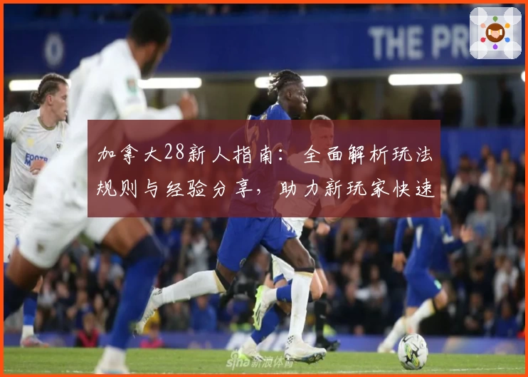 加拿大28新人指南:全面解析玩法规则与经验分享,助力新玩家快速上手