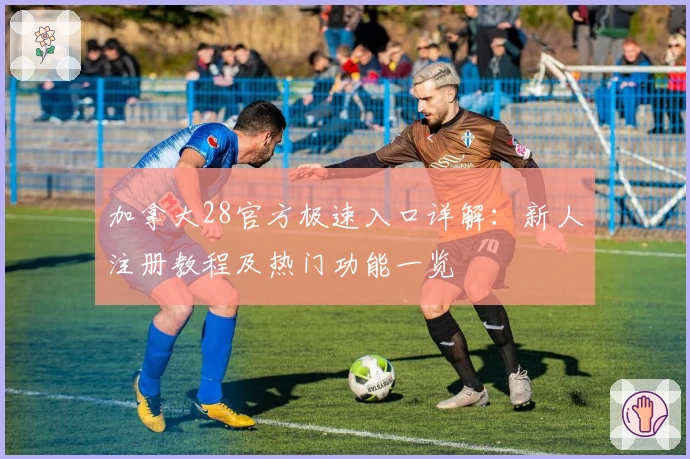 加拿大28官方极速入口详解：新人注册教程及热门功能一览