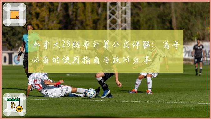 加拿大28赔率计算公式详解：高手必备的使用指南与技巧分享