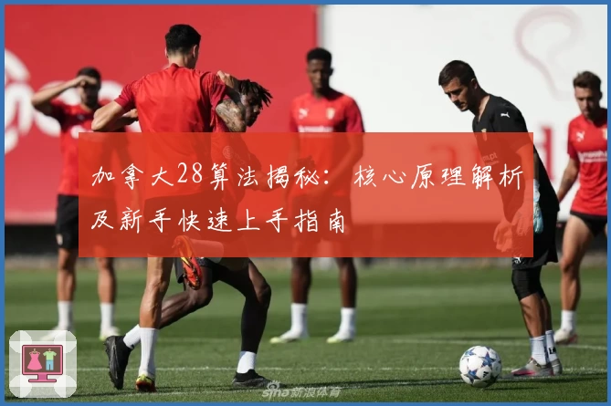 加拿大28算法揭秘：核心原理解析及新手快速上手指南