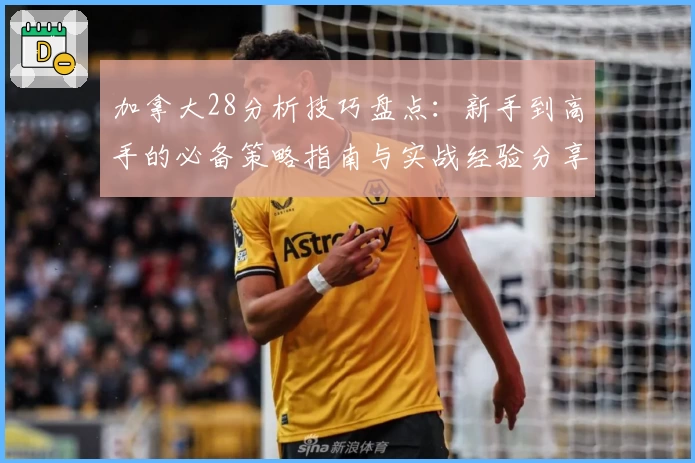 加拿大28分析技巧盘点：新手到高手的必备策略指南与实战经验分享