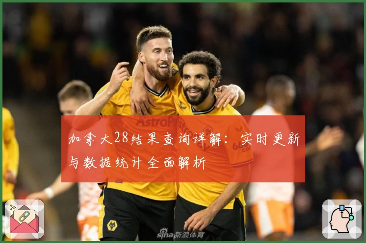 加拿大28结果查询详解：实时更新与数据统计全面解析