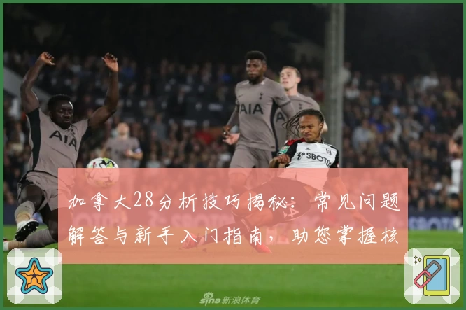 加拿大28分析技巧揭秘：常见问题解答与新手入门指南，助您掌握核心策略