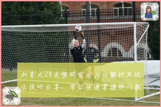 加拿大28走势网官方入口解析及玩法技巧分享，带你快速掌握热门数据分析技巧