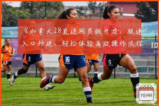 《加拿大28直连网页版开启,极速入口秒进,轻松体验高效操作流程》