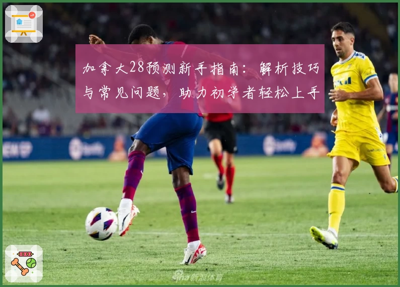 加拿大28预测新手指南：解析技巧与常见问题，助力初学者轻松上手