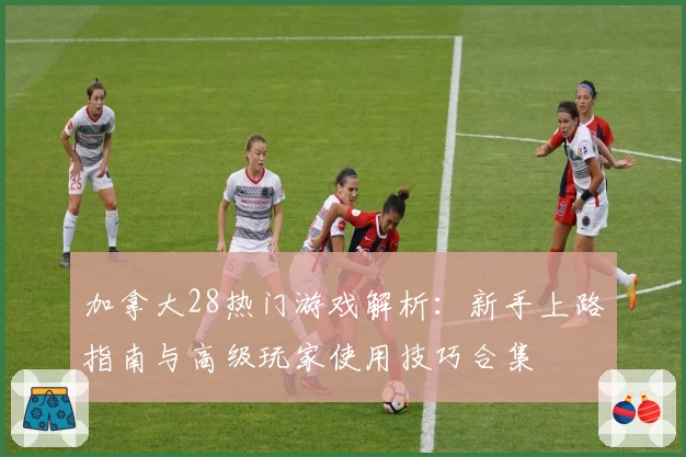 加拿大28热门游戏解析：新手上路指南与高级玩家使用技巧合集