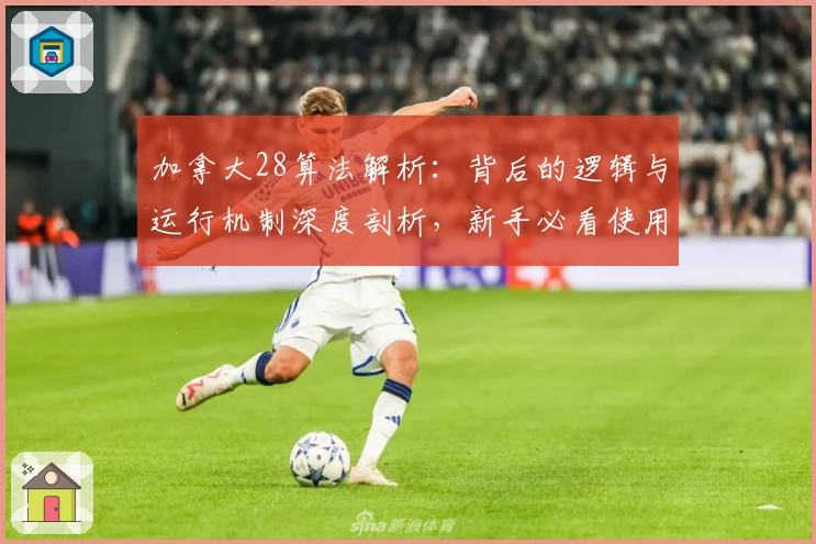 加拿大28算法解析：背后的逻辑与运行机制深度剖析，新手必看使用指南