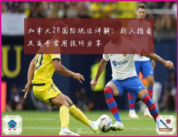 加拿大28国际玩法详解：新人指南及高手常用技巧分享