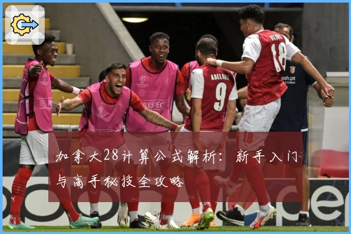 加拿大28计算公式解析：新手入门与高手秘技全攻略