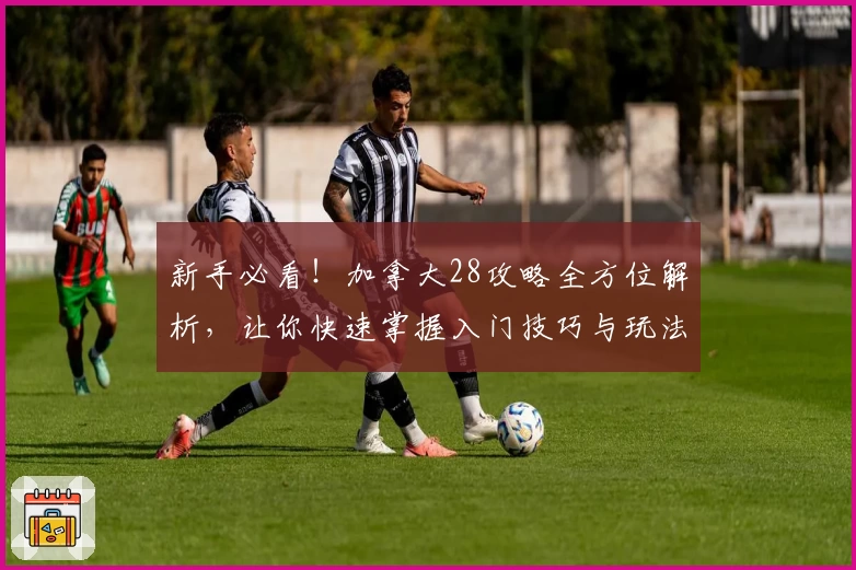 新手必看！加拿大28攻略全方位解析，让你快速掌握入门技巧与玩法秘诀