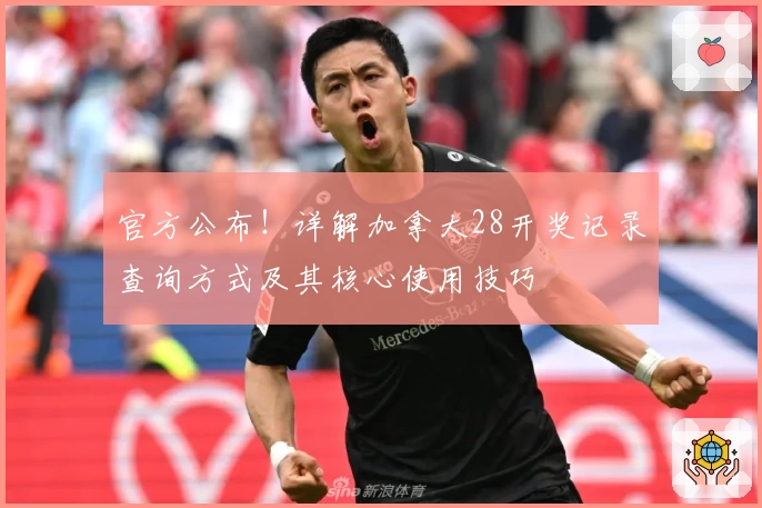 官方公布！详解加拿大28开奖记录查询方式及其核心使用技巧