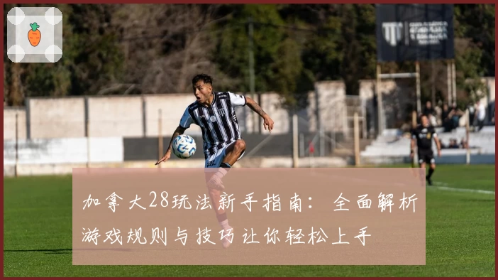 加拿大28玩法新手指南：全面解析游戏规则与技巧让你轻松上手