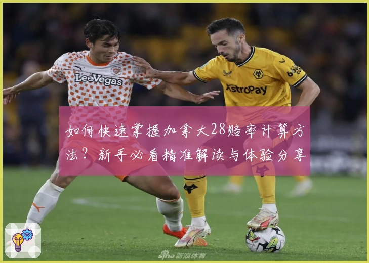 如何快速掌握加拿大28赔率计算方法?新手必看精准解读与体验分享