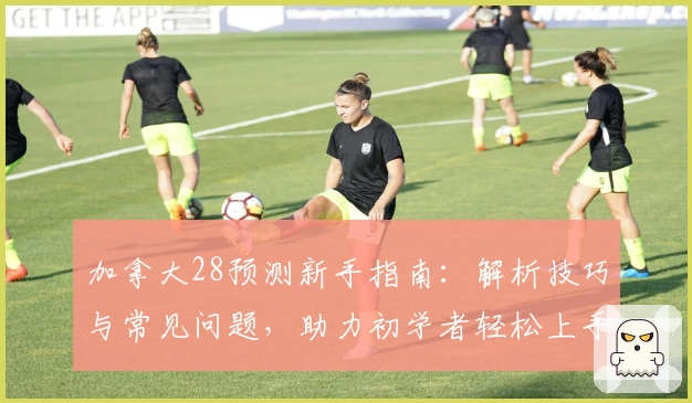 加拿大28预测新手指南：解析技巧与常见问题，助力初学者轻松上手