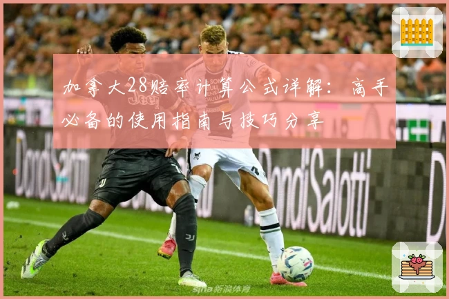 加拿大28赔率计算公式详解：高手必备的使用指南与技巧分享