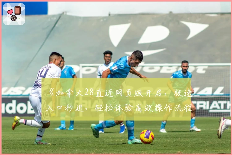 《加拿大28直连网页版开启，极速入口秒进，轻松体验高效操作流程》