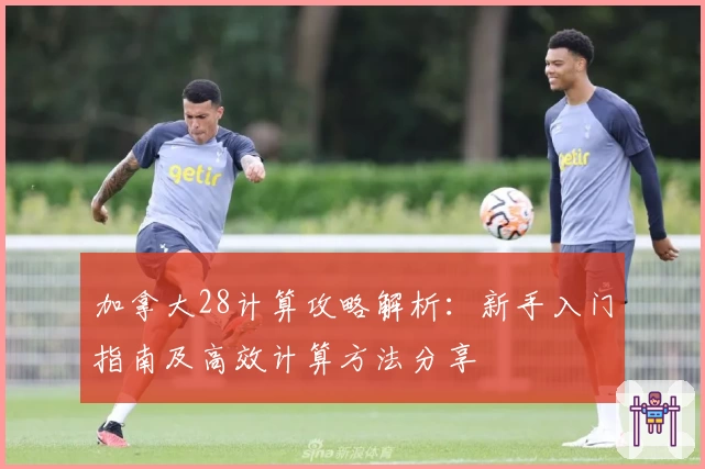 加拿大28计算攻略解析：新手入门指南及高效计算方法分享