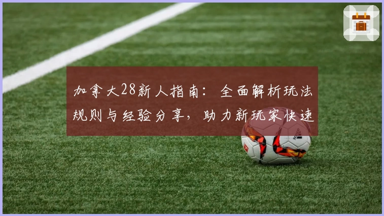 加拿大28新人指南:全面解析玩法规则与经验分享,助力新玩家快速上手