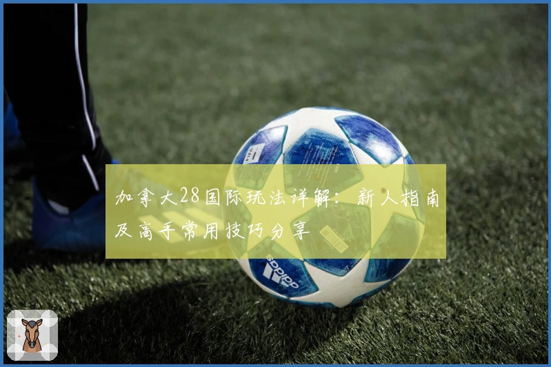 加拿大28国际玩法详解:新人指南及高手常用技巧分享