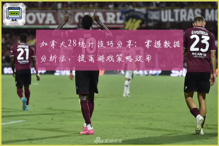 加拿大28统计技巧分享：掌握数据分析法，提高游戏策略效率