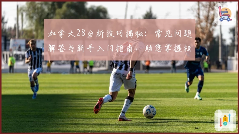 加拿大28分析技巧揭秘：常见问题解答与新手入门指南，助您掌握核心策略