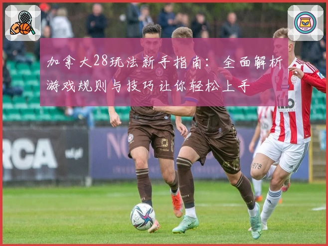 加拿大28玩法新手指南：全面解析游戏规则与技巧让你轻松上手