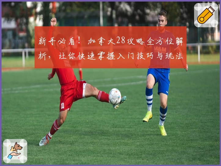 新手必看！加拿大28攻略全方位解析，让你快速掌握入门技巧与玩法秘诀