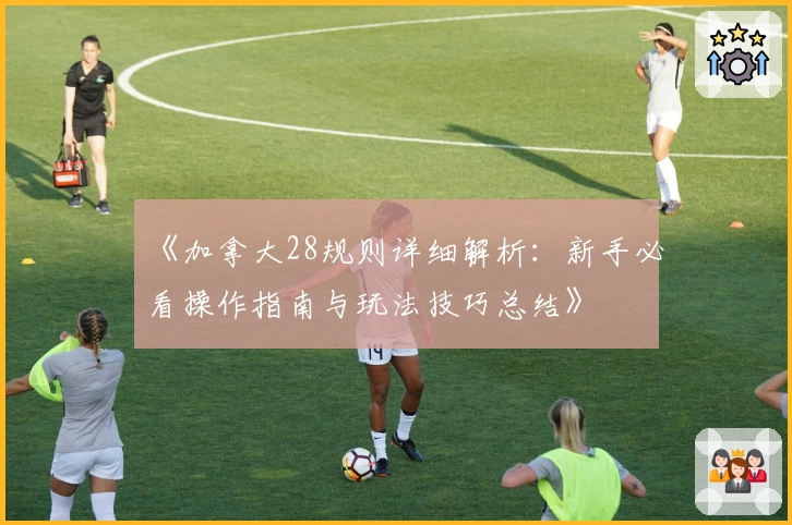 《加拿大28规则详细解析:新手必看操作指南与玩法技巧总结》